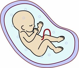 孕妇孕期阑尾炎必须手术吗对胎儿有影响吗 孕妇孕期阑尾炎必须手术吗对胎儿有影响吗